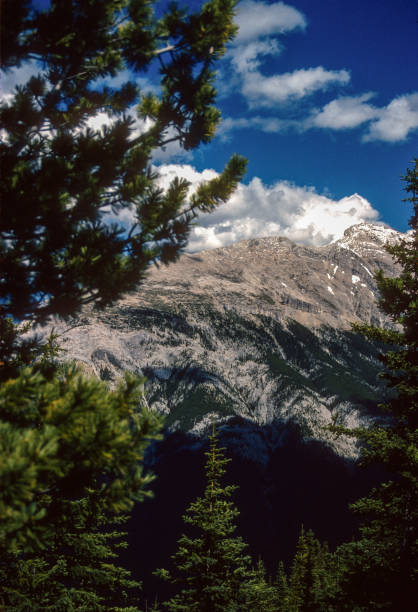 Banff National Park - Vertical Landscape - 1989. Scanned from Kodachrome 25 slide.