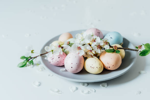 istock Colored Easter eggs and blooming tree branch on the gray plate with flower petals on the white table. Happy Easter and springtime card. Minimalism and simplicity. Selective focus. Copy space. 1460846871