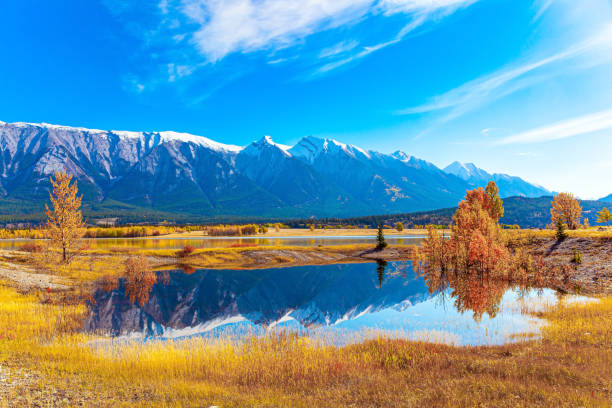 Sunny day in October. stock photo