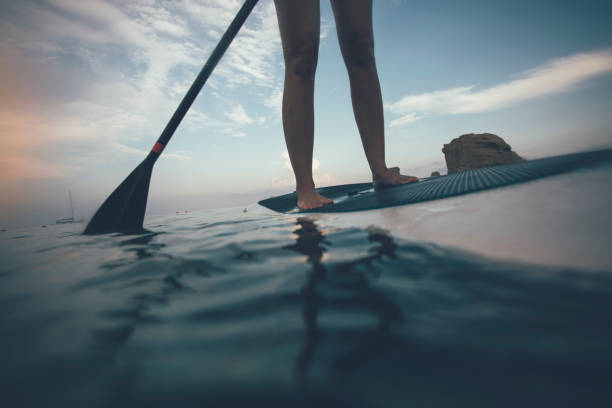 istock Close up of woman paddleboarding at sunset 1460857761