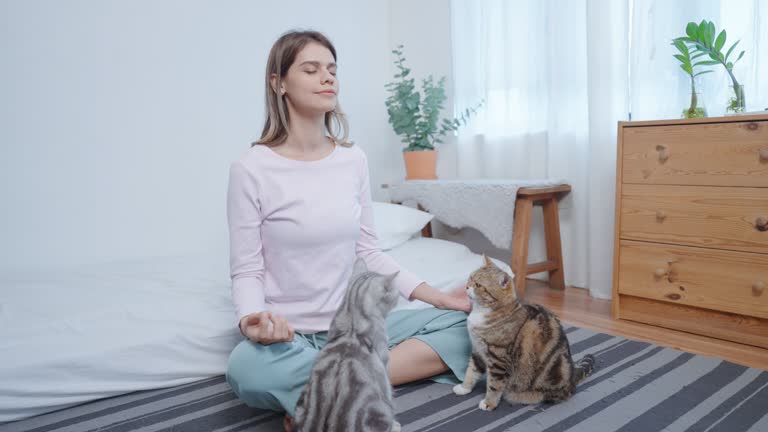 Young woman meditates at home with cats . Yoga at home. Home sport exercise concept.