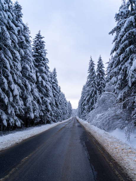 istock road in the winter, snow 1460859688
