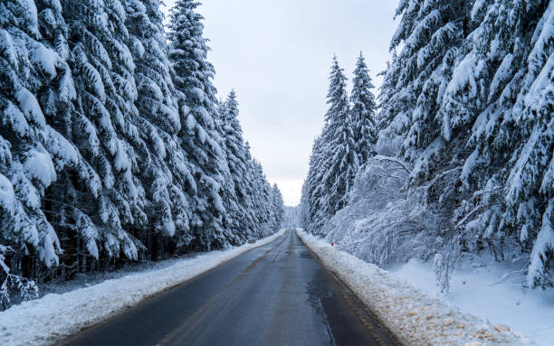 istock road in the winter 1460859701