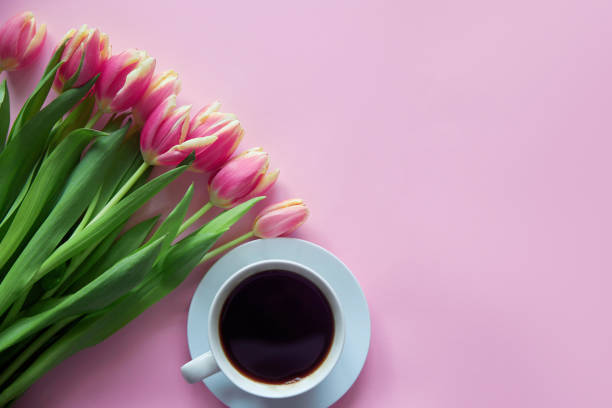 Bouquet of pink tulips on pink background with cup of morning coffee in Copy space. Mothers and Womens Day stock photo
