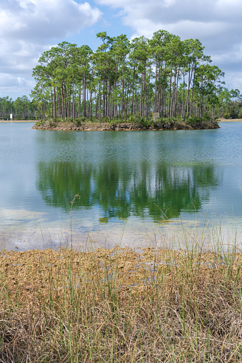 Everglades national park, florida