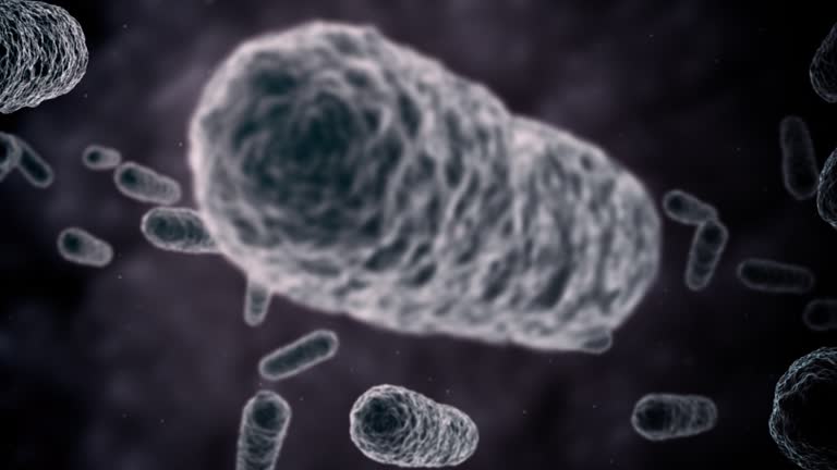 Bacteria seen by electron microscope 1080p Loop