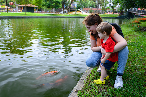 Young mother and toddler son watching the fish swimming next to them in the lake in the park on a summer Saturday morning