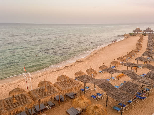 istock Landscape in a beach in Hammamet, Tunisia 1460864627
