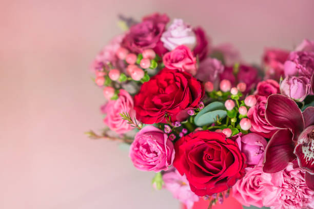 Bunch of red and pink fresh flowers