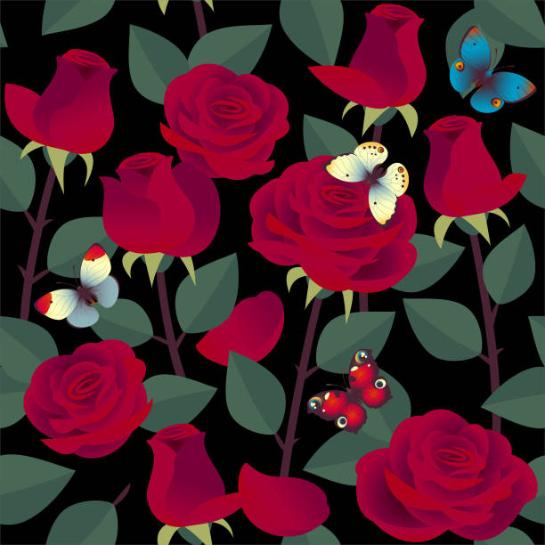 Pattern with roses and butterflies Seamless pattern with red roses and butterflies on a black background. blue rose against black background stock illustrations