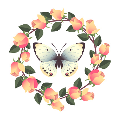 Realistic butterfly surrounded with wreath of roses decoration isolated on a white background.