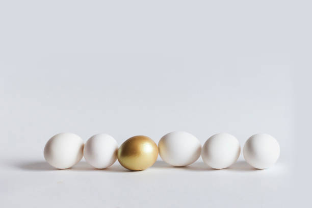 istock One golden egg and five white eggs lie in a row on white background with copy space 1460870464