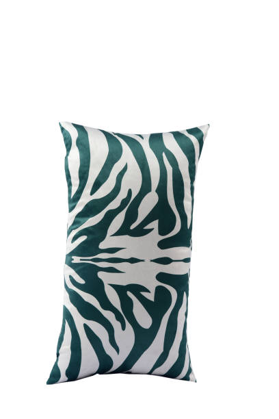 istock beautiful and comfortable cushions for sofa comfort elegant decorative 1460873130