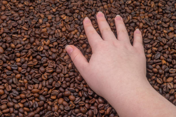 istock Woman's hand on the background of coffee beans 1460875329