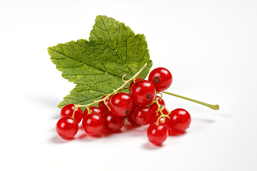 Red currant with green leaf isolated on white background, clipping path. A branch of red currant.