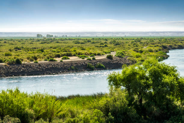istock Colorado River in Blythe, California 1460879895