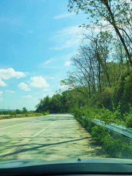 istock Driving on the countryside near the forest 1460883171