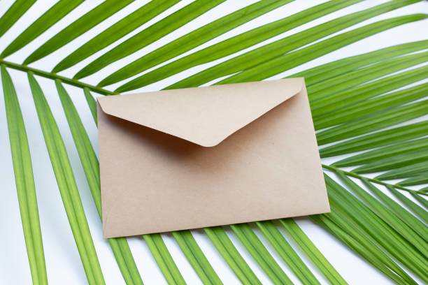 istock Brown envelopes on palm leaves 1460883900