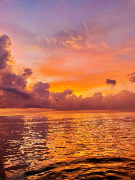 istock Majestic ocean and sky during sunset 1460886248