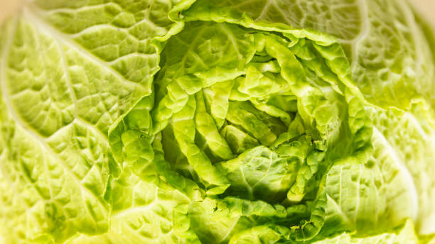 istock Raw Chinese cabbage head on white wooden background, top view 1460894986