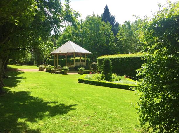 istock Gazebo in lush foliage 1460895519