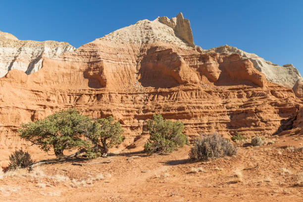 istock Kodachrome Basin State Park multi-colored hillside in the Utah desert 1460897203