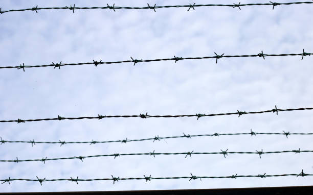 istock Barbed wires against sky. Wired fence 1460898900