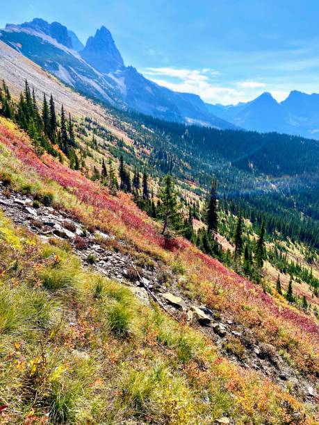 istock Highline Trail, Glacier National Park 1460900562