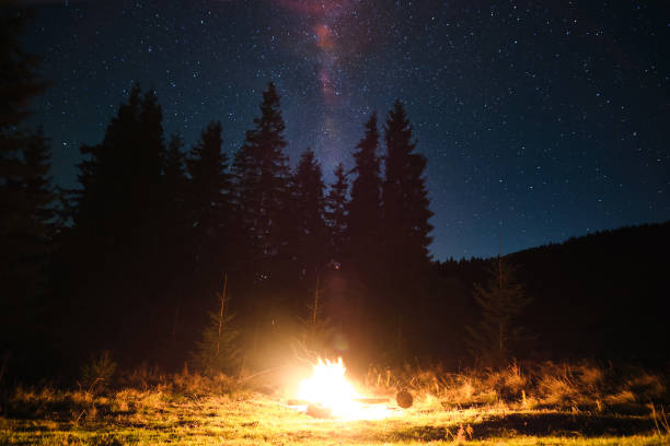 istock Brightly burning bonfire in dark mountain woods under starry night sky. 1460904794