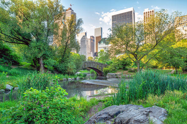 istock Gapstow Bridge in Central Park 1460905586