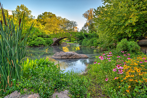 Gapstow Bridge in Central Park  in summer with flowers