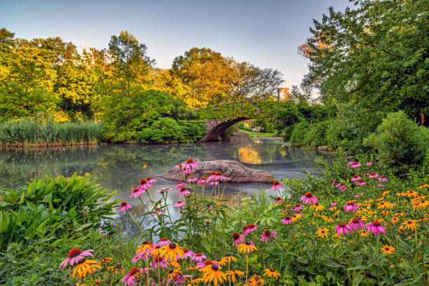 istock Gapstow Bridge in Central Park 1460905860