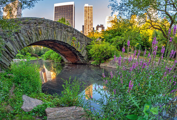 istock Gapstow Bridge in Central Park 1460906052