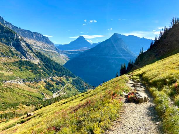 istock Highline Trail, Glacier National Park 1460906222