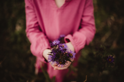 Child in a pink dress holding purple aster flowers