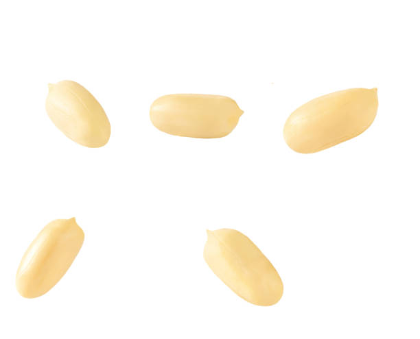 istock roasted peanuts isolated isolated on white background. 1460916740