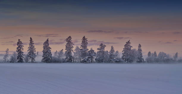istock Winter dressed in snow and frost 1460918510