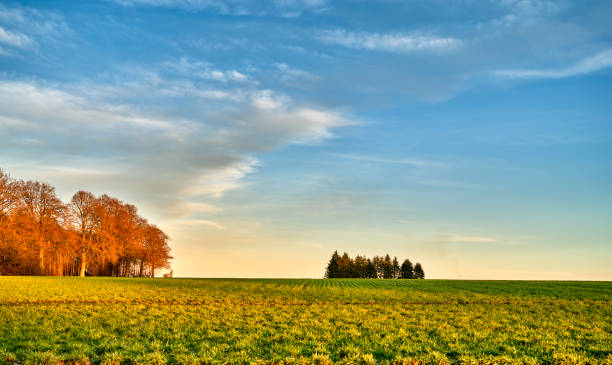 istock Danish nature in late wintertime. 1460919680