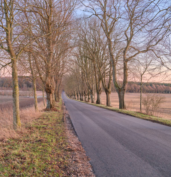 istock Danish nature in late wintertime. 1460919828