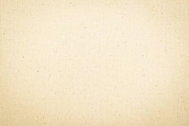 istock Calico fabric cloth texture background in light cream beige color 1460920020