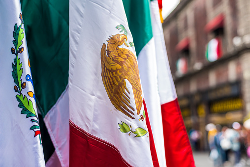 National Emblem of the flag of Mexico in the streets of Mexico City, Independence day, cinco de mayo celebration