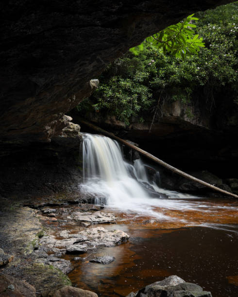 cascada dolly sods wilderness - monongahela national forest landscapes nature waterfall fotografías e imágenes de stock