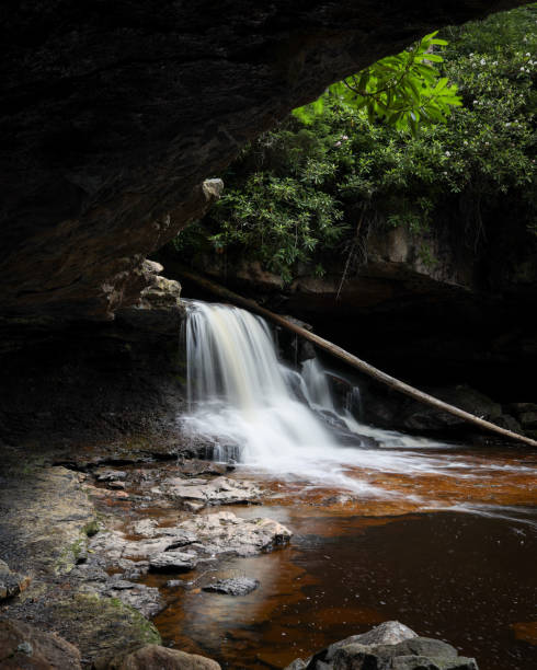 폭포 돌리 소즈 야생지대 - monongahela national forest landscapes nature waterfall 뉴스 사진 이미지