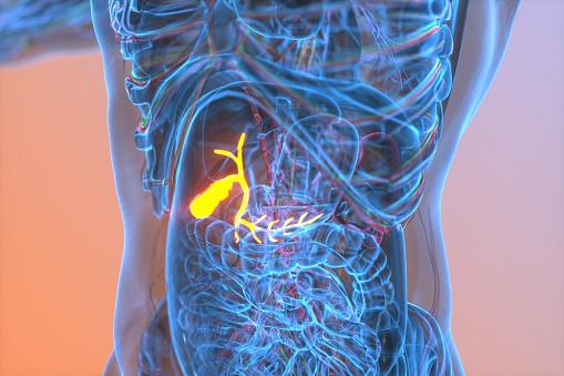 Medical illustration series about abstract human.The digestive system, gallbladder