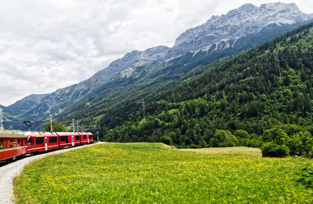 istock Bright red carriages of a Swiss train passes alpine meadows 1460936246