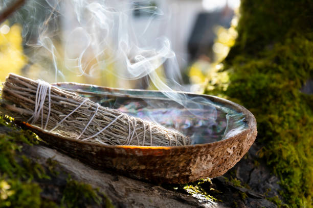 Smoldering White Sage Smudge Stick A close up image of a burning white sage smudge stick and abalone shell resting on a tree branch. ceremony stock pictures, royalty-free photos & images