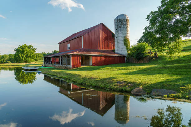 istock Red barn and grain silo reflected in a pond on a summer day 1460940563