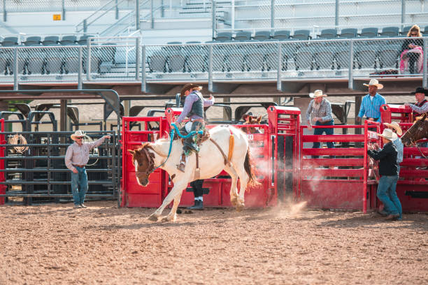 istock Cowboy Riding A Bucking Horse 1460945041