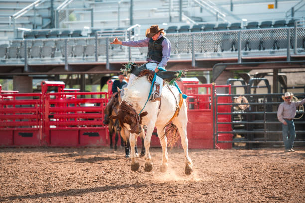 istock Cowboy Riding A Bucking Horse 1460945044