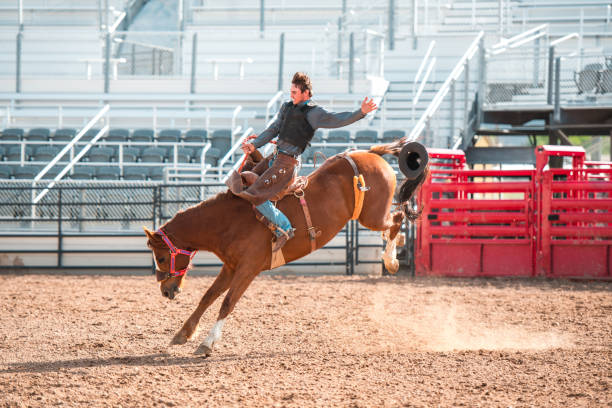 cowboy che cavalca un cavallo bucking - rodeo foto e immagini stock
